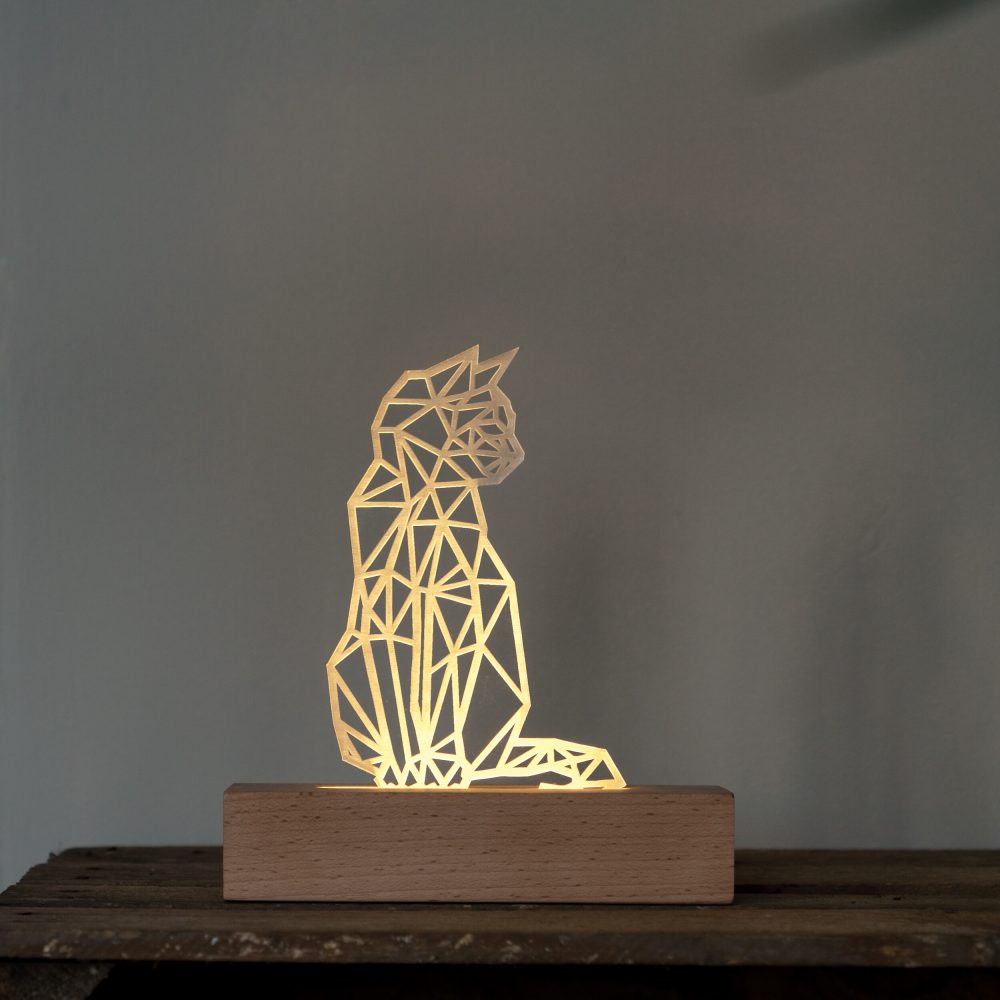 Direnlampje Poes Ledlamp Ledbase Plexi Nachtlampje