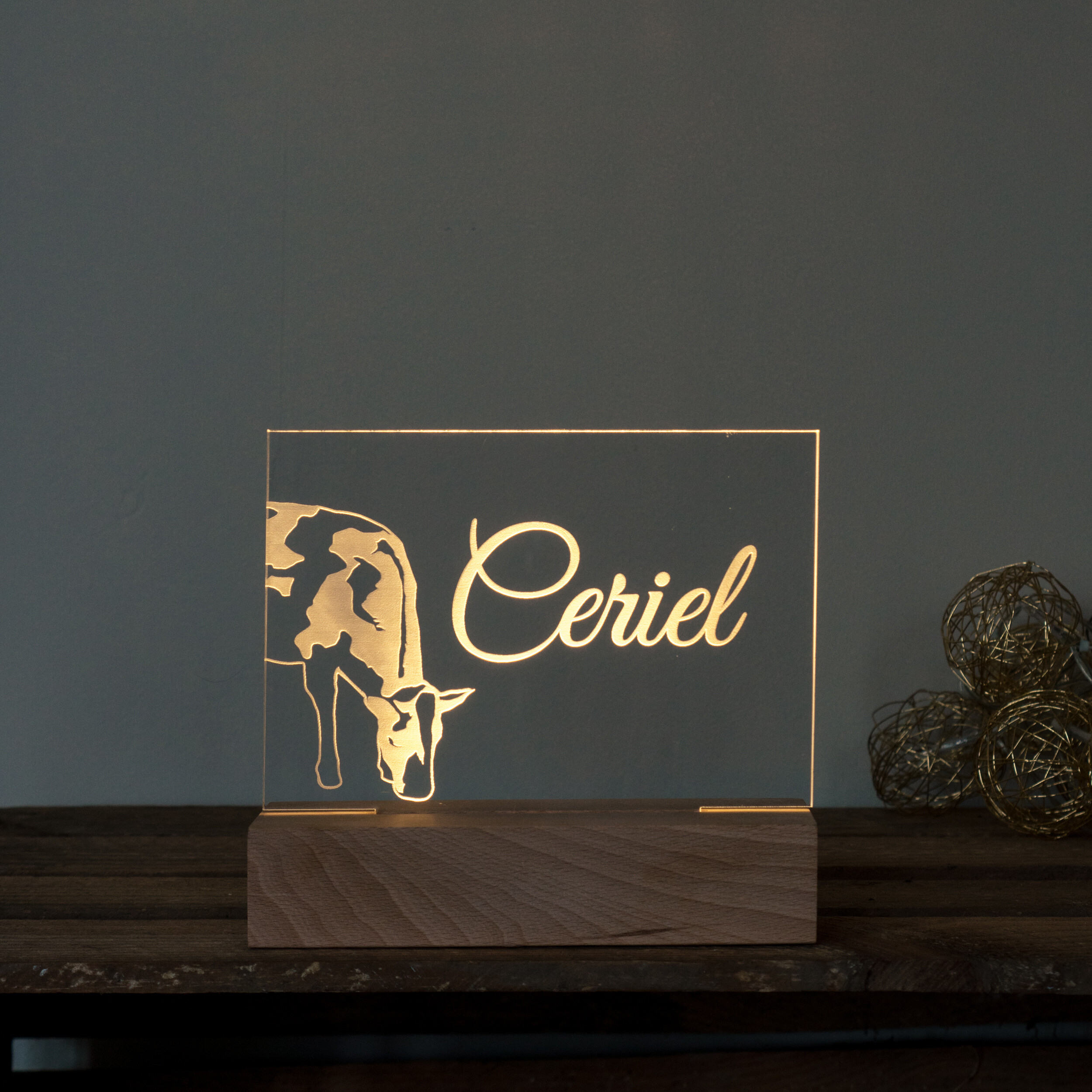 Gepersonaliseerd lampje nachtlampje geboortekaartje