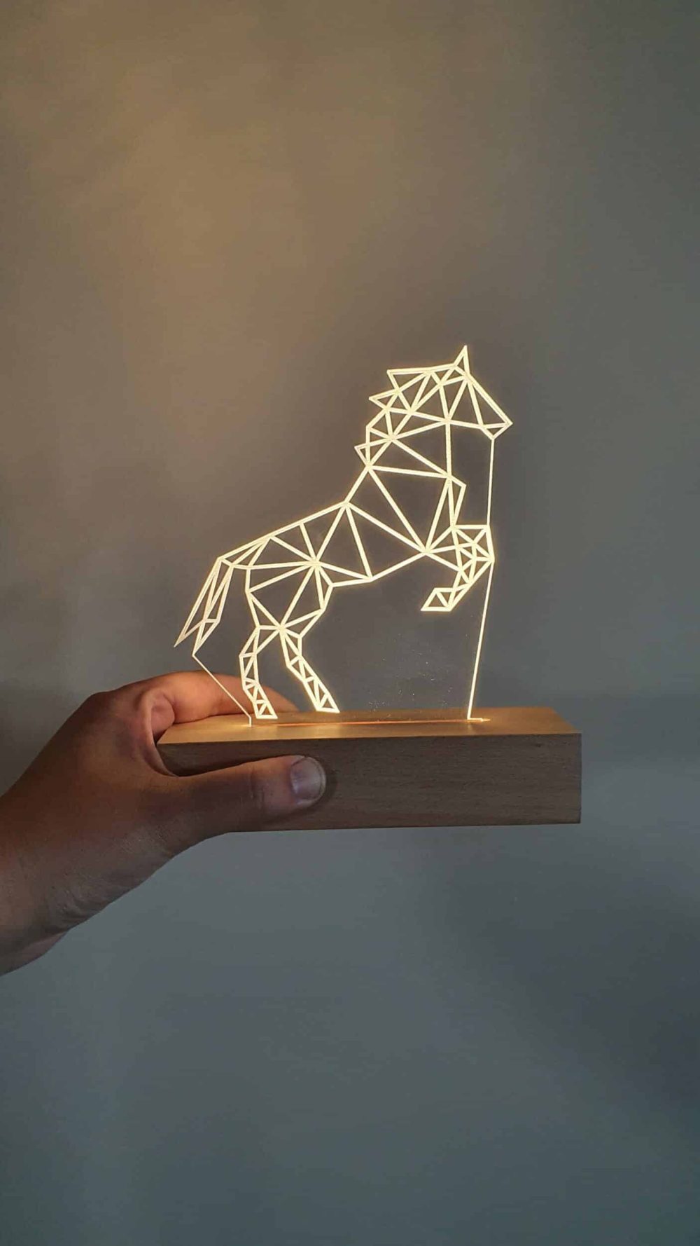 Direnlampje paard Ledlamp Ledbase Plexi nachtlampje