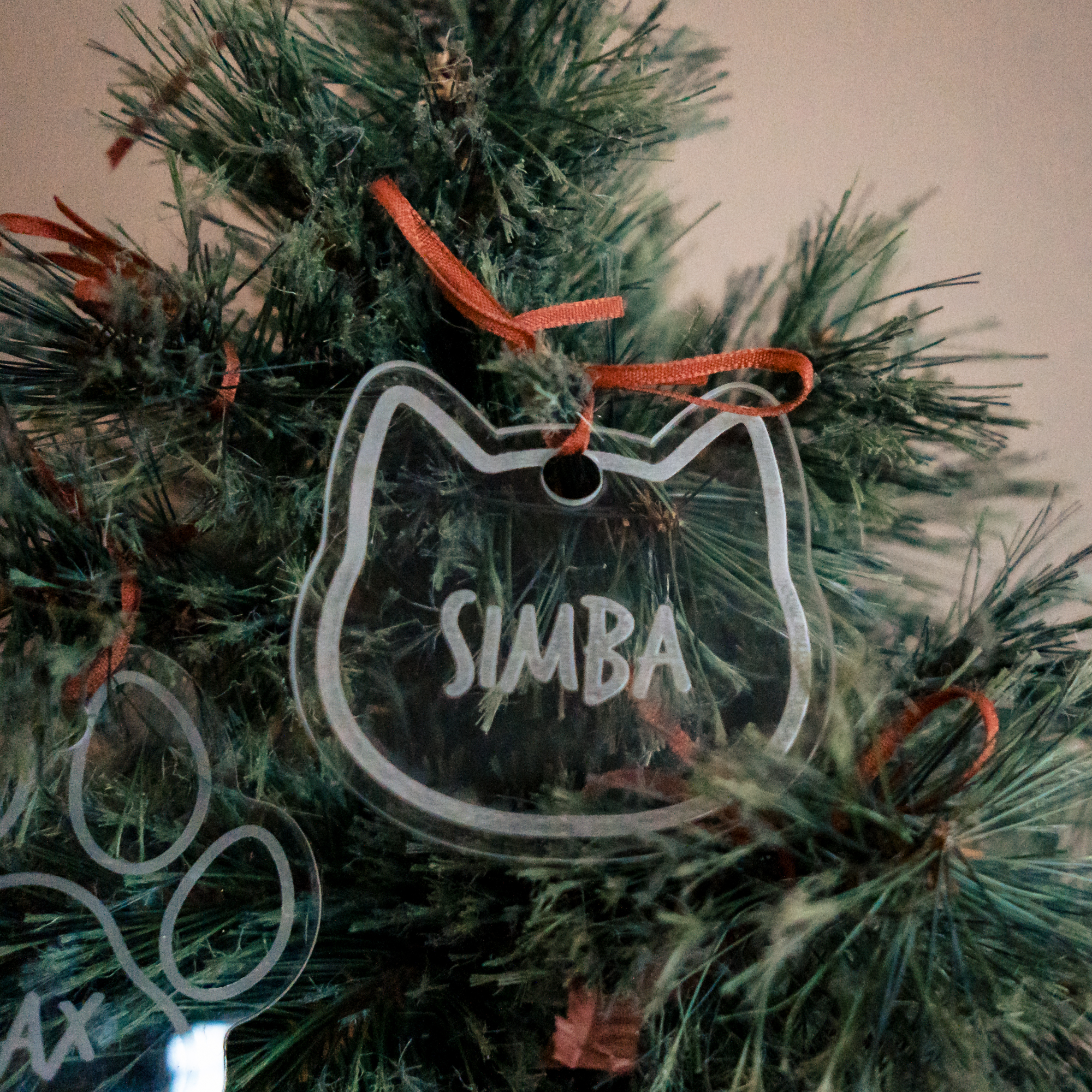 Doorzichtige kerstbal met naam - voor kat